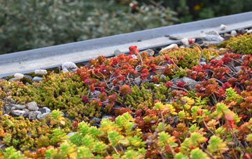 the cost of Peggs Green green roof installation